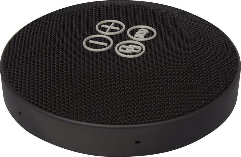 Hybrid conference speaker