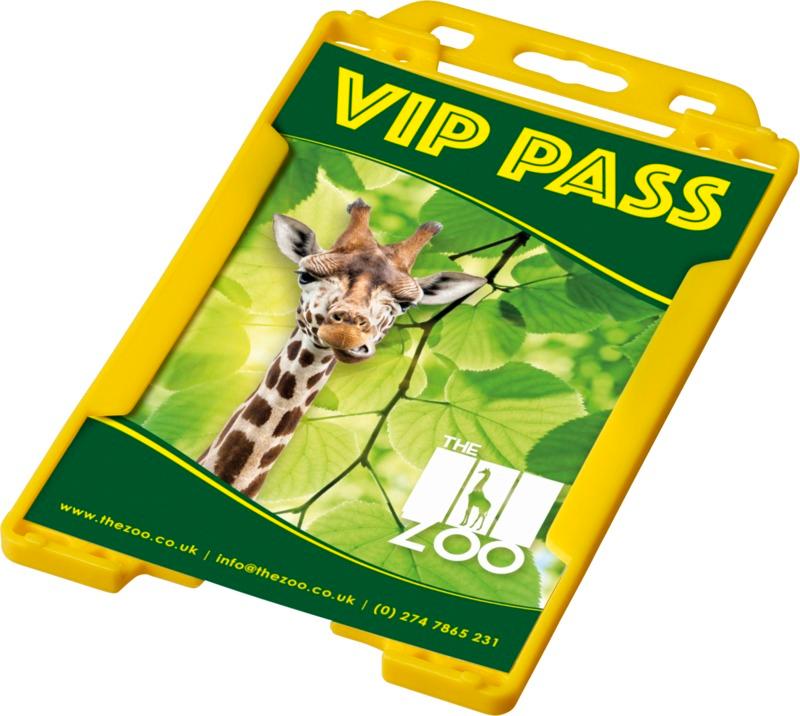 Pierre plastic card holder
